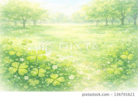 Clover Series: A cluster of clovers in a spring park 136791621