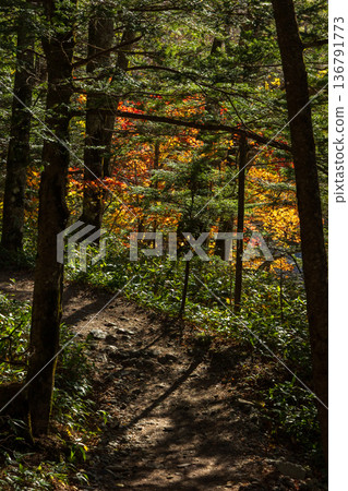 Kamikochi, one of Japan's leading mountain resorts, is a place to enjoy autumn foliage 136791773