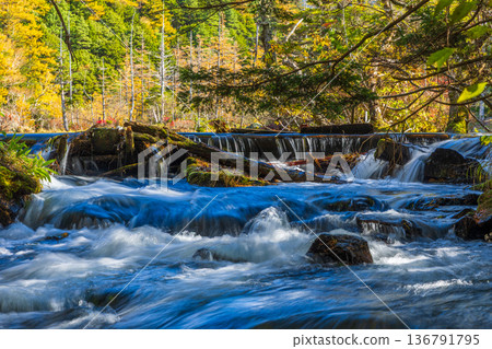 Kamikochi, one of Japan's leading mountain resorts, is a place to enjoy autumn foliage 136791795