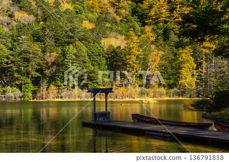Kamikochi, one of Japan's leading mountain resorts, with its autumn foliage and Myojin Pond 136791838