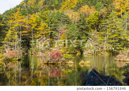 Kamikochi, one of Japan's leading mountain resorts, with its autumn foliage and Myojin Pond 136791846
