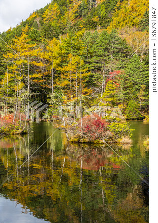 Kamikochi, one of Japan's leading mountain resorts, with its autumn foliage and Myojin Pond 136791847