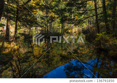 Kamikochi, one of Japan's leading mountain resorts, with its autumn foliage and Myojin Pond Kamikochi, one of Japan's leading mountain resorts, with its autumn foliage and Myojin Pond 136791850