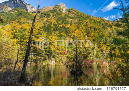 Kamikochi, one of Japan's leading mountain resorts, with its autumn foliage and Myojin Pond Kamikochi, one of Japan's leading mountain resorts, with its autumn foliage and Myojin Pond 136791857
