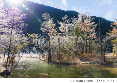 秋季清晨,日本著名山區度假勝地上高地的田代池。 秋季清晨,日本著名山區度假勝地上高地的田代池。 136792073