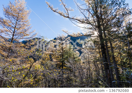 Autumn in Kamikochi, one of Japan's leading mountain resorts, and the Tashiro Marsh in the early morning Autumn in Kamikochi, one of Japan's leading mountain resorts, and the Tashiro Marsh in the early morning 136792080