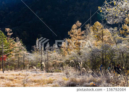 清晨的日本著名山區度假勝地上高地，以及田代濕地。 136792084