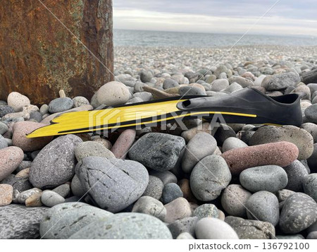 flippers on a rocky beach flippers on a rocky beach 136792100