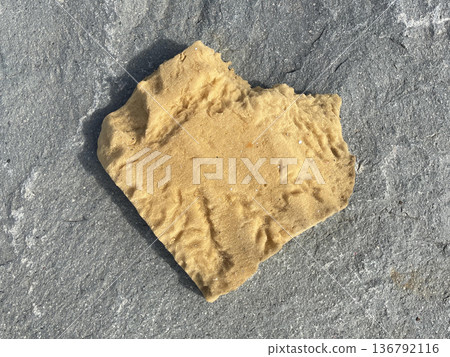 sponge on the rock. top view sponge on the rock. top view 136792116