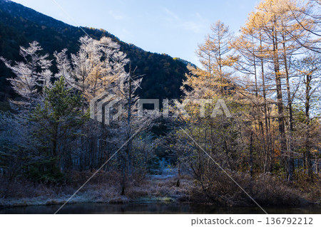 Tashiro Pond in the early morning at Kamikochi in autumn, one of Japan's leading mountain resorts 136792212