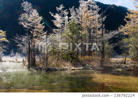 秋季清晨,日本著名山區度假勝地上高地的田代池。 秋季清晨,日本著名山區度假勝地上高地的田代池。 136792224