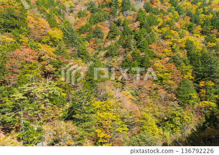 Autumn scenery from the bus window on the way to Kamikochi, one of Japan's leading mountain resorts 136792226