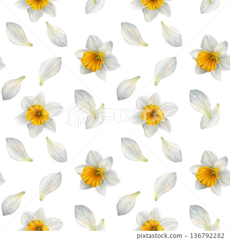 Seamless watercolor pattern with white narcissus flowers and scattered white petals. Perfect for fabric, wallpaper, wrapping paper, packaging and stationery design Seamless watercolor pattern with white narcissus flowers and scattered white petals. Perfect for fabric, wallpaper, wrapping paper, packaging and stationery design 136792282