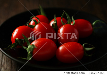 迷你番茄（愛子） 136792468