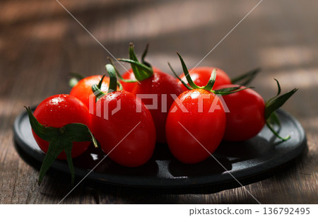 迷你番茄（愛子） 136792495