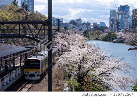 Scenery of cherry blossoms in full bloom and a train running Scenery of cherry blossoms in full bloom and a train running 136792564