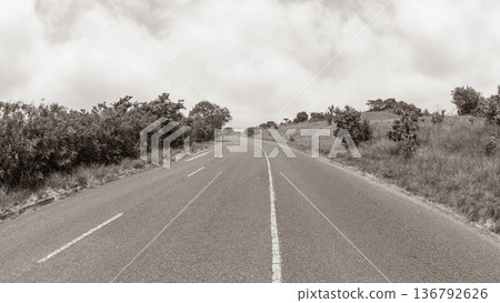 Road Countryside Sepia Landscape Road Countryside Sepia Landscape 136792626