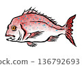 鮮血鯛魚日式插畫 136792693