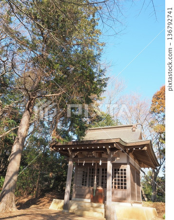 神奈川縣,東山公園,淺間神社,1月 神奈川縣,東山公園,淺間神社,1月 136792741