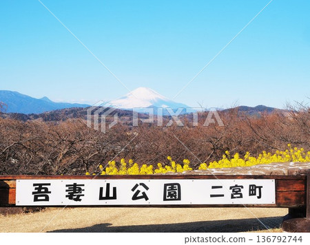 一月,從神奈川縣吾妻山頂眺望富士山。 一月,從神奈川縣吾妻山頂眺望富士山。 136792744