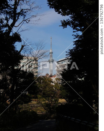 [Tokyo, Sumida Ward] Skytree and Yasuda Garden 136792796