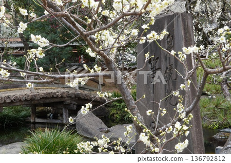 Plum Festival of Yushima Tenmangu 136792812