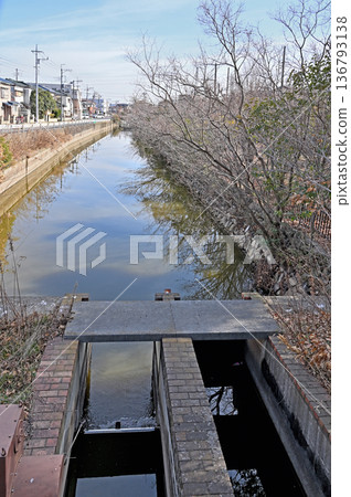 Walking around Koshigaya, Kasai Irrigation Canal, Yakoda Riverside Greenway, West of Koshigaya City 136793138