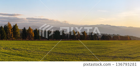 Meadow with small forest and hunters wooden high stand on autumn evening, some mountains in distance 136793281