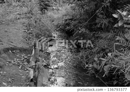 A landscape with a quiet stream 136793377