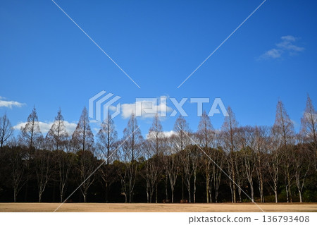 風景 136793408