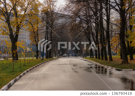Autumn leaves and a quiet pathway through a city lined with trees and distant vehicles on a rainy day 136793419