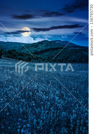 countryside mountain landscape during cold weather on summer night. grassy rural field with flowers near the forested hillside under sky in full moon light. mysterious place with blooming alpine flora countryside mountain landscape during cold weather on summer night. grassy rural field with flowers near the forested hillside under sky in full moon light. mysterious place with blooming alpine flora 136793730
