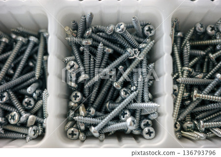 Metal screws in plastic organizer box close up hardware background 136793796