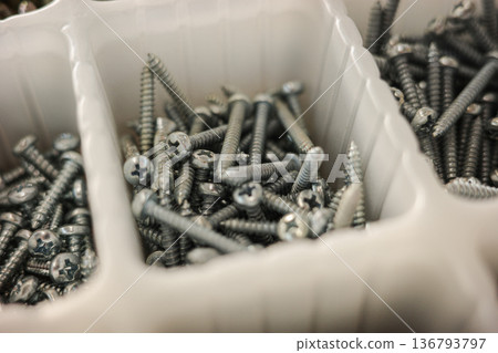 Close up of metal screws in plastic organizer compartment hardware background Close up of metal screws in plastic organizer compartment hardware background 136793797