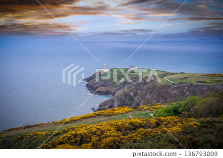 Baily Lighthouse Viewpoint at Sunset with Flowers and Ocean Baily Lighthouse Viewpoint at Sunset with Flowers and Ocean 136793809