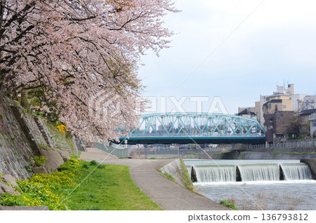 Spring at the Saigawa Bridge in Kanazawa Spring at the Saigawa Bridge in Kanazawa 136793812