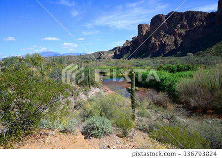 Salt River Recreation Area Arizona 136793824