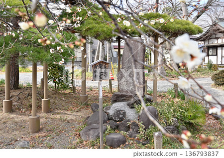 越谷散步 - 大聖寺、登山派真言宗、越谷市相模町 越谷散步 - 大聖寺、登山派真言宗、越谷市相模町 136793837
