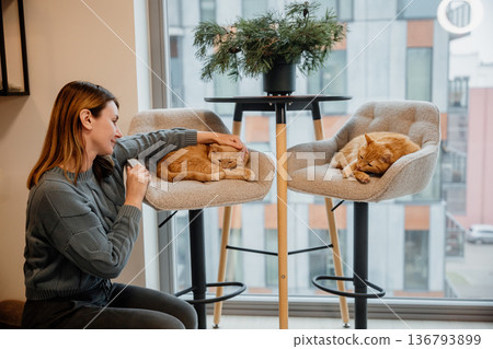Woman sits in a room with two orange cats resting on chairs during a cozy afternoon Woman sits in a room with two orange cats resting on chairs during a cozy afternoon 136793899