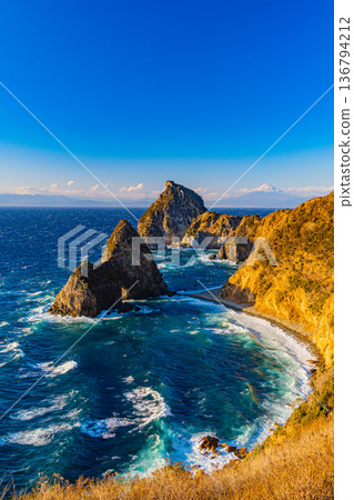 (Shizuoka Prefecture) Mount Fuji beyond Nishiizu Senkanmon Gate 136794212