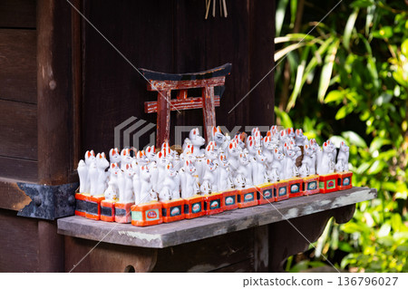 城山稻荷神社的狐狸 136796027