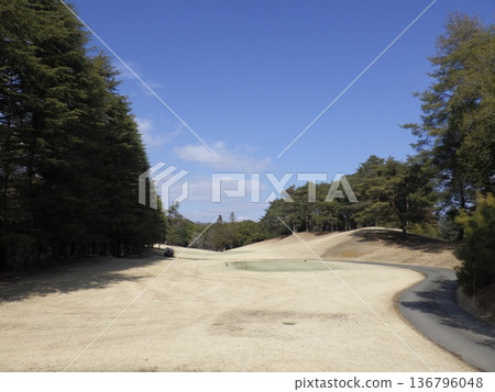 Winter golf course Winter golf course 136796048