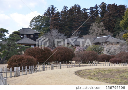 Mito Kairakuen Garden Mito Kairakuen Garden 136796306