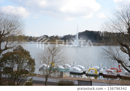 水戶偕樂園的千場湖 水戶偕樂園的千場湖 136796342