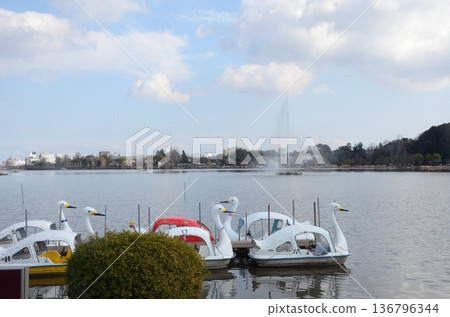 Lake Senba in Mito Kairakuen 136796344