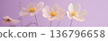 Elegant Purple Flowers on Soft Pastel Background 136796658