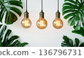 Hanging Vintage Light Bulbs Surrounded by Monstera Leaves 136796731