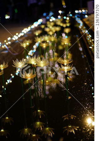 Illuminations Ashaka Flower Park 136797370