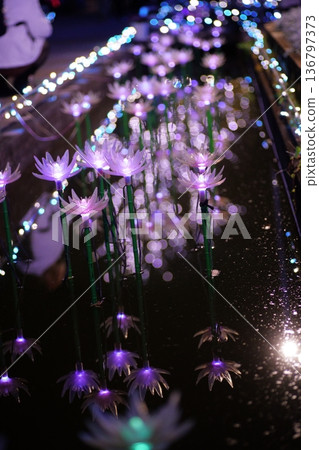 照明阿莎卡花卉公園 照明阿莎卡花卉公園 136797373