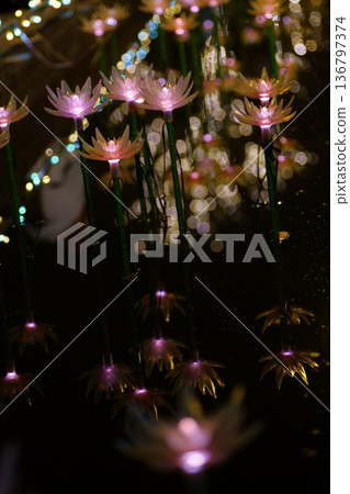 照明阿莎卡花卉公園 照明阿莎卡花卉公園 136797374